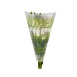 Hoes RPE40recy40 50x35x10cm Cycle Groen 1500/ds