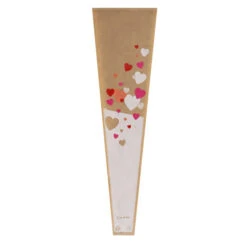 Hoes 55(50)x14(12)x5(3)cm BOPP/Kraft Confetti FSC Mix Credit 500/ds