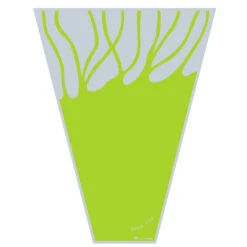 Hoes 50x35x12cm Dolce Vita Limoengroen 1500/ds