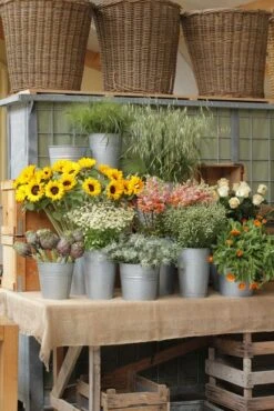 Vaas Gegalvaniseerd Ribbel 29/19x28,5cm (voor 10ltr Emmer) 12/ds