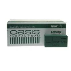 Oasis® Economy 20x10x8cm 20/ds (D)