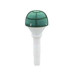 Oasis® Lady 2 6/set (D)