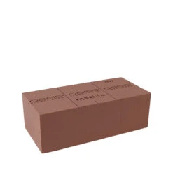 Oasis® Bio Steekschuim 23x11x8cm 20/ds (D)