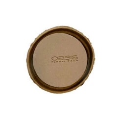 Oasis® Biolit® Schaal 6x14cm 4/set - 9set/ds (D)