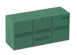 Oasis® Ideal Euro 35/ds (D)