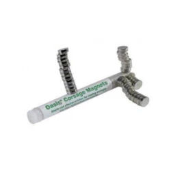 Oasis® Corsage Magneten D.1cm 30/koker (D)