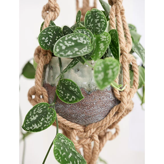 Bloempothanger Macrame D.10/H.140cm Bruin 12/ds 2 Bloempothanger Macrame D.10/H.140cm Bruin 12/ds - Afbeelding 2