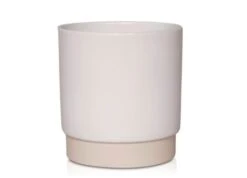 Pot Eno Duo D.7/H.7cm Wit 12/tray