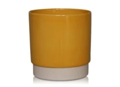 Pot Eno Duo D.7/H.7cm Oker 12/tray