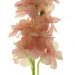 Delphinium Tak Roze 46cm 72/ds