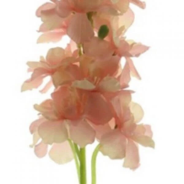 Delphinium Tak Roze 46cm 72/ds 1 Delphinium Tak Roze 46cm 72/ds