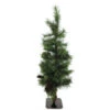 Pinus Pine Boom Beau 100cm M/kegeltjes Groen 2/ds