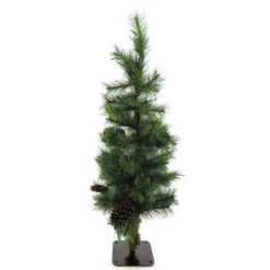 Pinus Pine Boom Beau 100cm M/kegeltjes Groen 2/ds