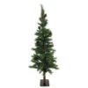Pinus Pine Boom Beau 180cm M/kegeltjes Groen 1/ds