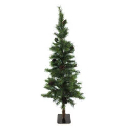 Pinus Pine Boom Beau 180cm M/kegeltjes Groen 1/ds