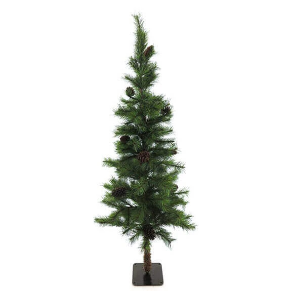 Pinus Pine Boom Beau 180cm M/kegeltjes Groen 1/ds 1 Pinus Pine Boom Beau 180cm M/kegeltjes Groen 1/ds