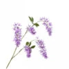 Wisteria Tak 101cm Lavend 12/ds