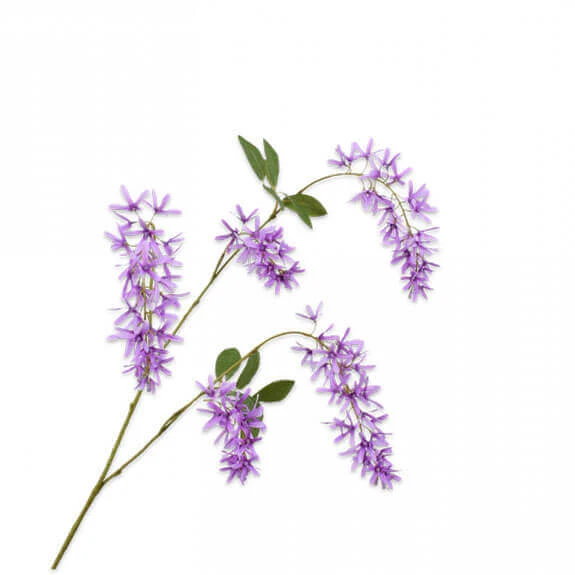 Wisteria Tak 101cm Lavend 12/ds 1 Wisteria Tak 101cm Lavend 12/ds