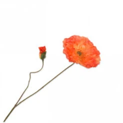 Klaproos Steel 75cm Oranje 24/ds