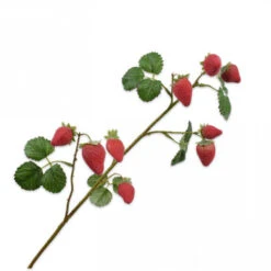 Aardbei Tak 68cm Rd/Grn 24/ds