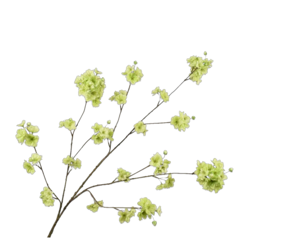 Bloesem Tak 127cm Groen 6/ds 1 Bloesem Tak 127cm Groen 6/ds