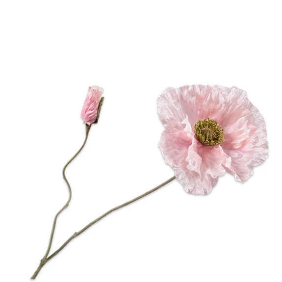 Steel Klaproos 75cm Roze 24/ds 1 Steel Klaproos 75cm Roze 24/ds