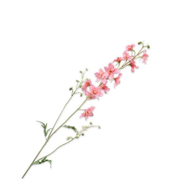 Tak Delphinium 101cm Roze 24/ds 1 Tak Delphinium 101cm Roze 24/ds