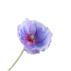 Steel Klaproos 73cm Lichtblauw 24/ds