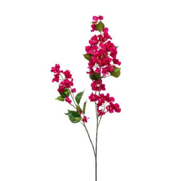 Emerald Bougainvillea Tak 117cm Fuchsia 6/ds 1 Emerald Bougainvillea Tak 117cm Fuchsia 6/ds