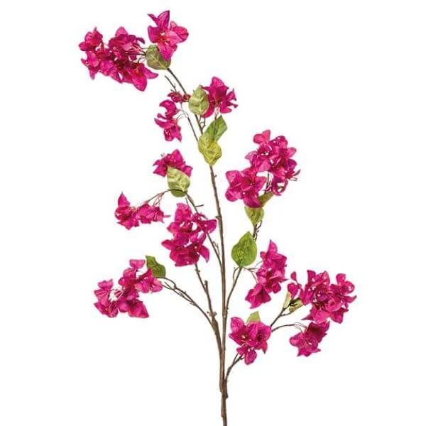 Emerald Bougainvillea Tak 130cm Fuchsia 8/ds 1 Emerald Bougainvillea Tak 130cm Fuchsia 8/ds