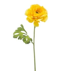 Emerald Ranonkel Spray 61cm Geel 12/ds