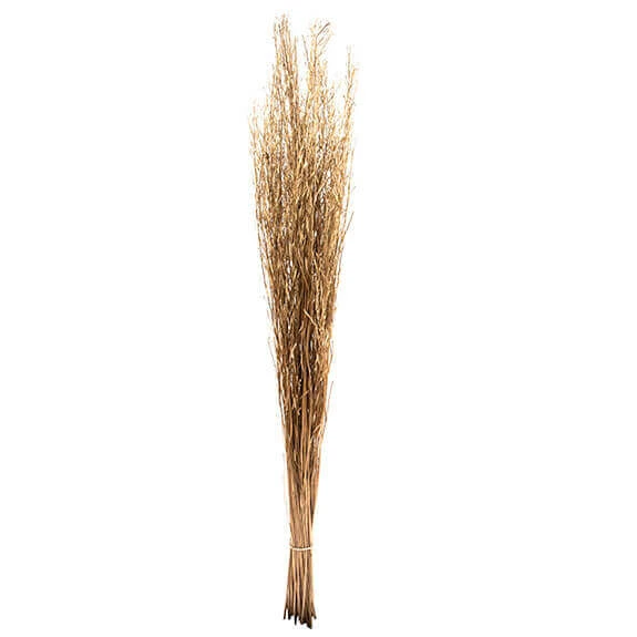 Sarita Tak 100cm Goud 100/pak 1 Sarita Tak 100cm Goud 100/pak