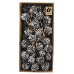 Atta Fruit Op 10cm Stok Wit 50/tray