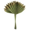 Palm Sun Groen/goud 5st/bun (24bun/ds)