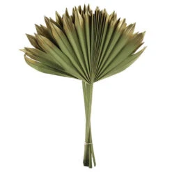 Palm Sun Groen/goud 5st/bun (24bun/ds)