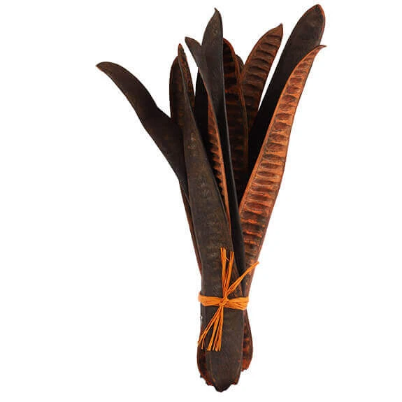 Step Fruit Oranje 10st/pak (12pak/ds) 1 Step Fruit Oranje 10st/pak (12pak/ds)