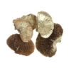 Sponge Mushroom 8-12cm Goud 1kg/zak (6/ds)