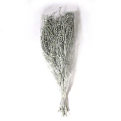 Murgagras 100gr 70cm Blauw 18/ds