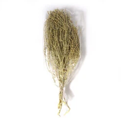 Murgagras 100gr 70cm Geel 18/ds