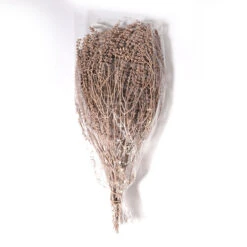 Murgagras 100gr 70cm Roze 18/ds