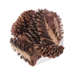 Pinus Maritima Schijven Naturel 12st/zak