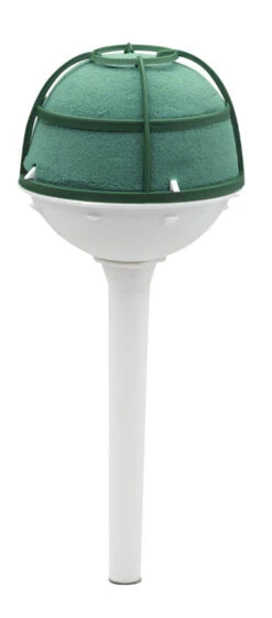 Oasis® Princess I7cm 6st