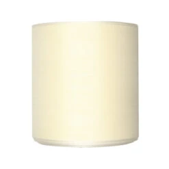 Lint (4020) 100mmx25mtr Crème (478)