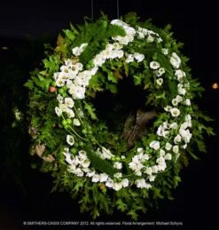 Oasis® Bioflor Krans 65cm 2st 5 Oasis® Bioflor Krans 65cm 2st -Huisdecoratie 81067016 3