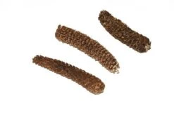 Dennenappels Geraspeld 5kg