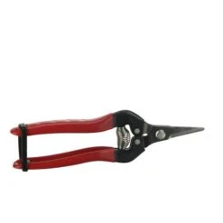 Fruitschaar Korte Bek 5x17x1 Rood