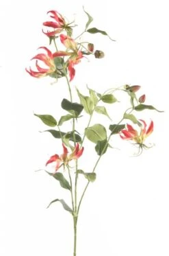 Emerald Tak Gloriosa 120cm Fuchsia