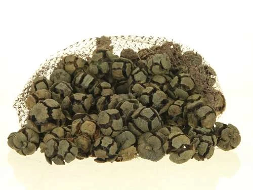 Pinus Cipressus 1kg/net Naturel 1 Pinus Cipressus 1kg/net Naturel