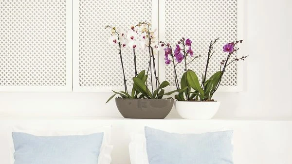 Bahia Planter Wit L.45xB.17xH.15cm 2 Bahia Planter Wit L.45xB.17xH.15cm - Afbeelding 2