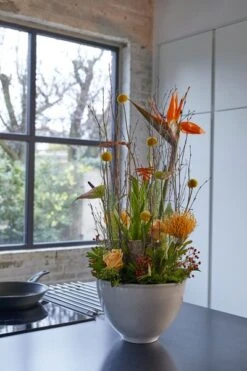 Schaal Royaal Hoog 27cm Steen -Huisdecoratie 81188635 4